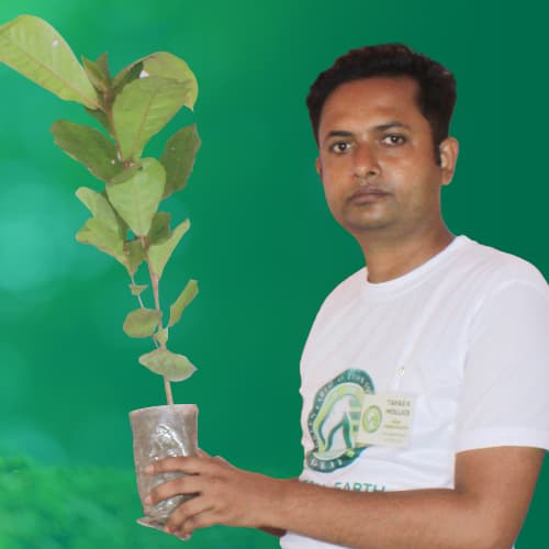 Tapas Kumar Mollick