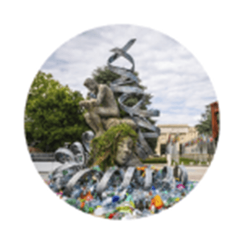 The Thinkers Burden
