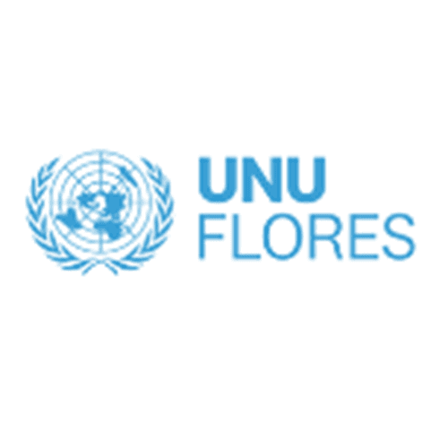 UNU Flores