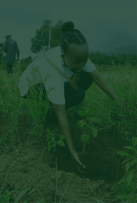 CAC Episode 7: How to Restore Degraded Ecosystems?