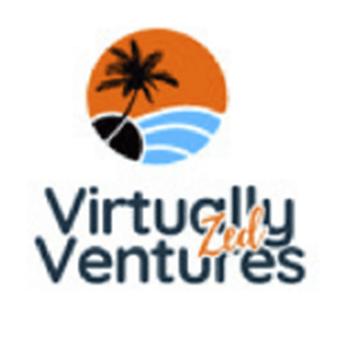 Zed Virtually Ventures